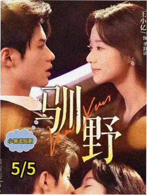 静默档案封面