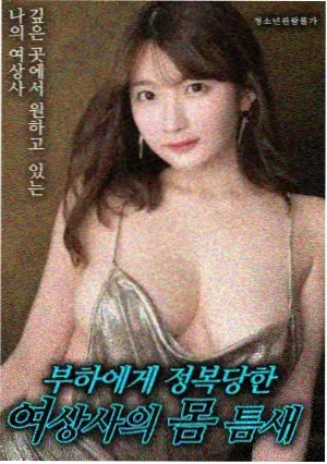 第八次日落电影海报